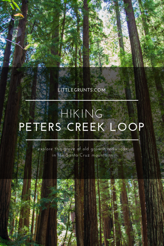 Hiking Peters Creek Loop