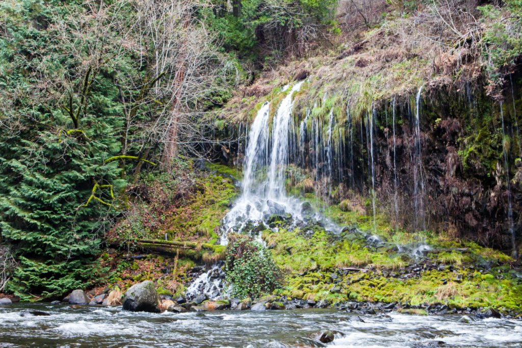 Hiking Mossbrae Falls