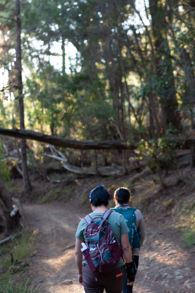 Sequoia bayview clearance trail