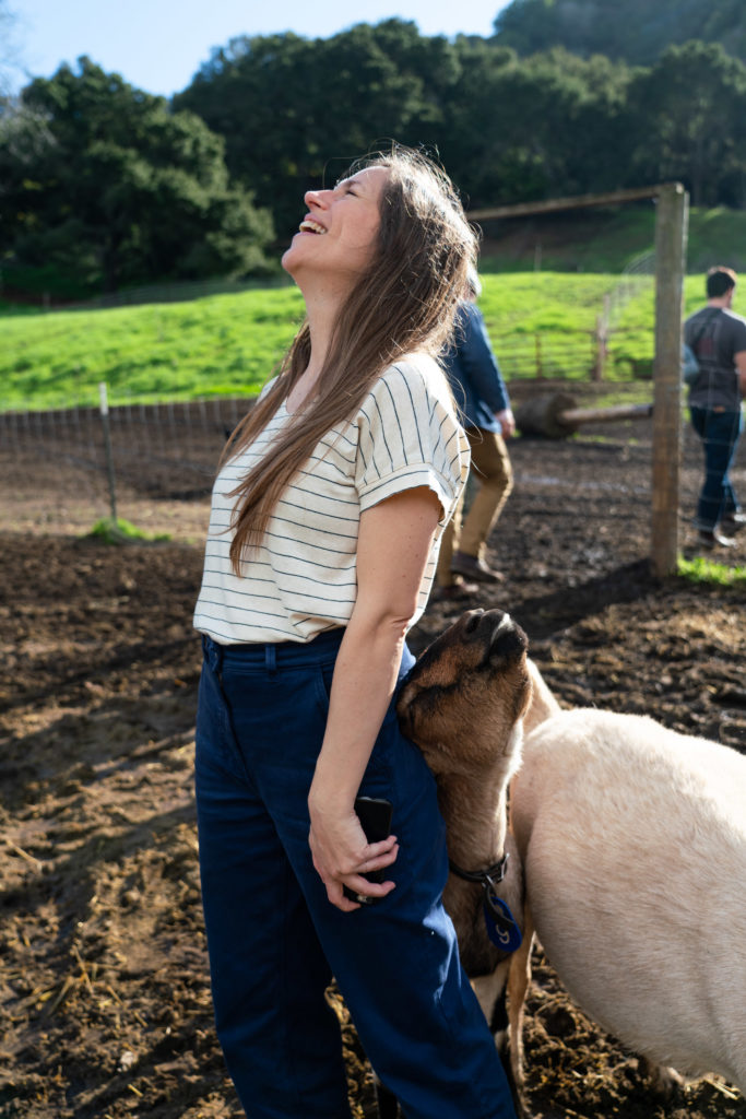 Stepladder Ranch and Creamery Tour Goats