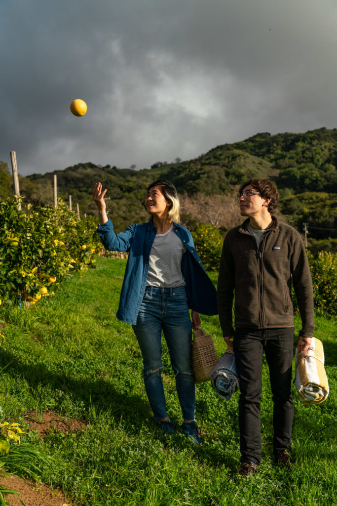 Stepladder Ranch and Creamery Tour