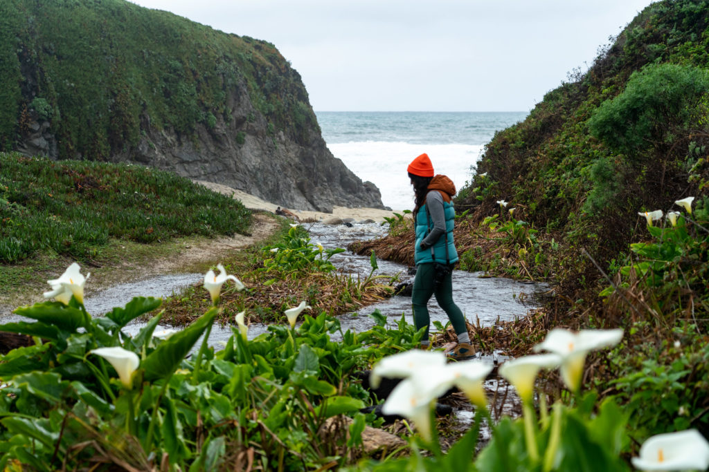 Hiking Calla Lily Valley in Garrapata State Park, Big Sur, CA