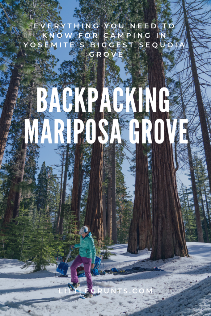 Backpacking Mariposa Grove in the Winter