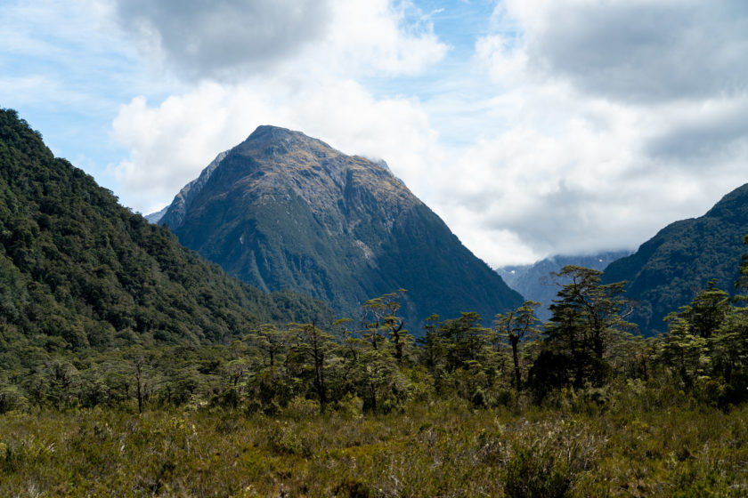 Milford Track, Day 1: Te Anau Downs to Clinton Hut - littlegrunts.com