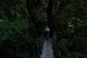 Milford Track, Day 3: Mintaro Hut to Dumpling Hut - littlegrunts.com