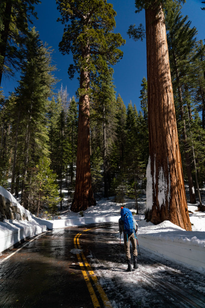 Backpacking Mariposa Grove, Yosemite National Park