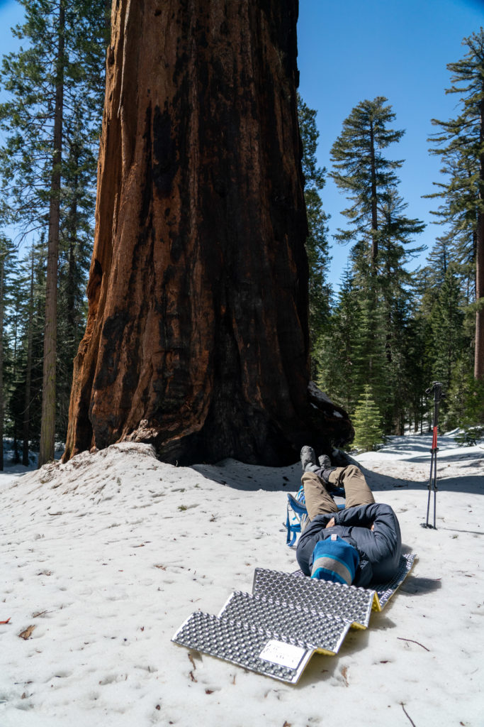 Backpacking and Snow Camping Mariposa Grove