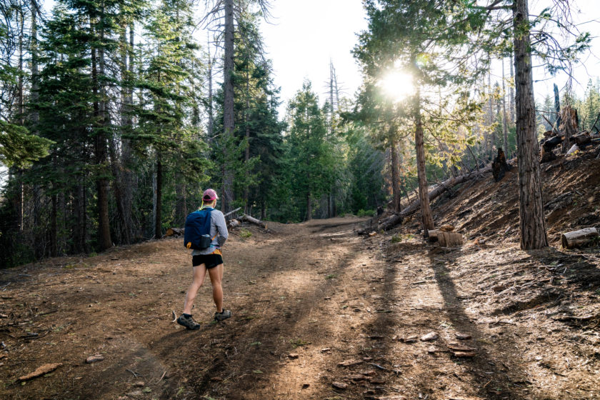 Hiking Merced Grove of Giant Sequoias, Yosemite National Park ...