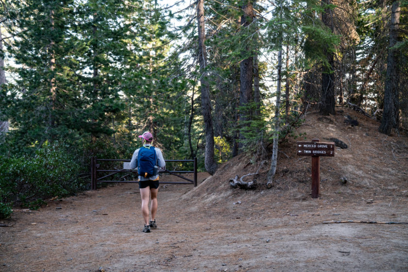 Hiking Merced Grove of Giant Sequoias, Yosemite National Park ...